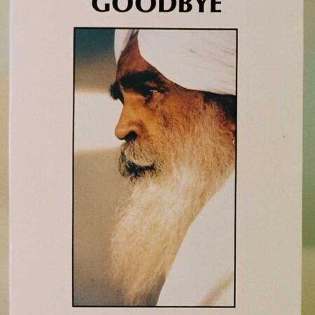 I Never Say Goodbye Book